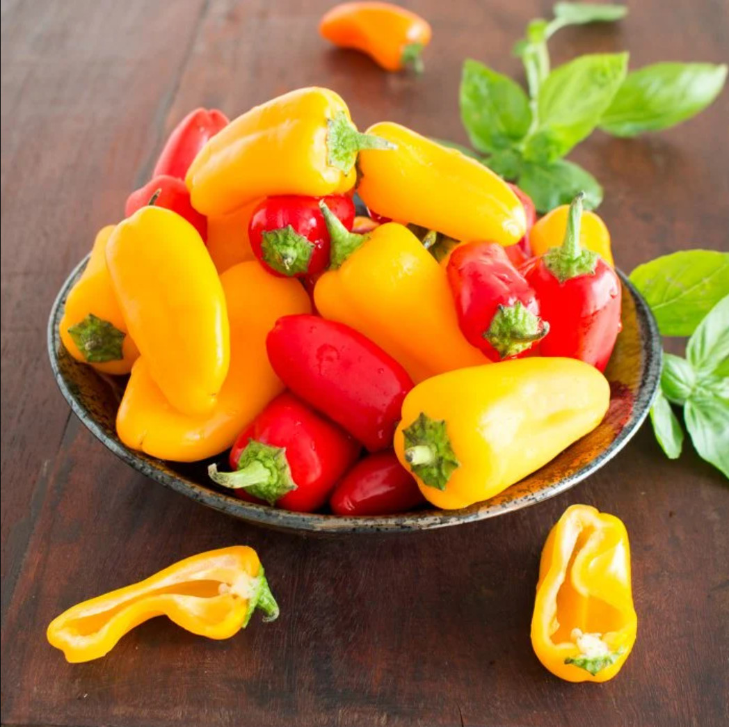 Mini Bell Pepper Seeds Mixed Colors, Non-GMO Grown Organically - Garden Seeds gallery