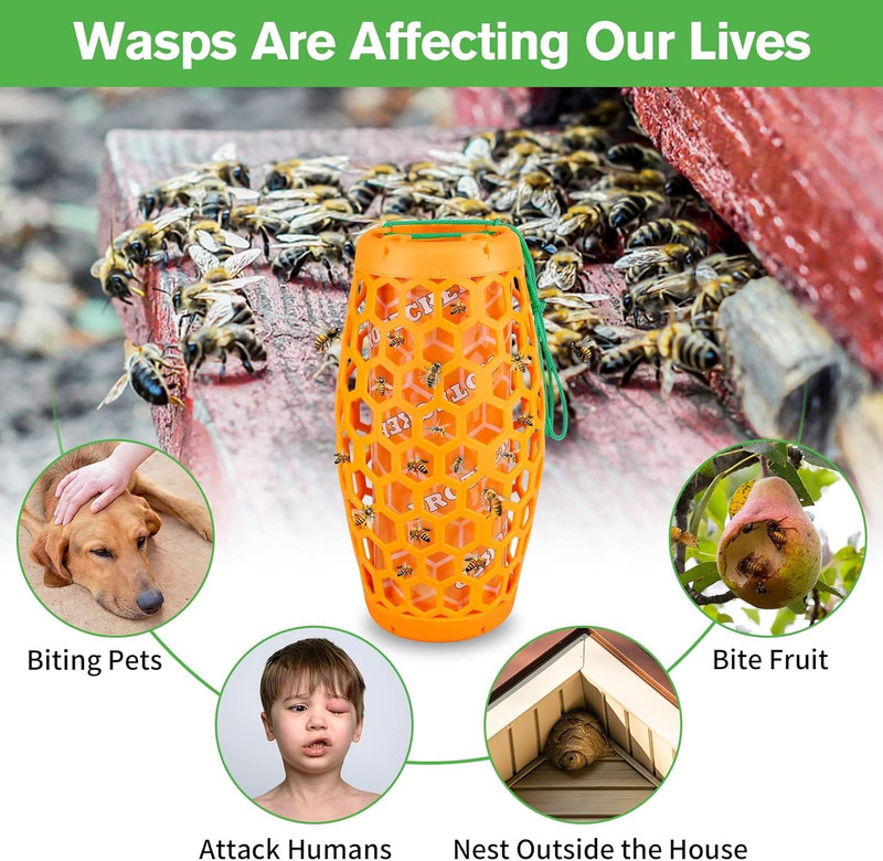 Wasp Trap Bee Catcher - Outdoor Hanging Carpenter Bee Traps with 4 Sticky Boards gallery