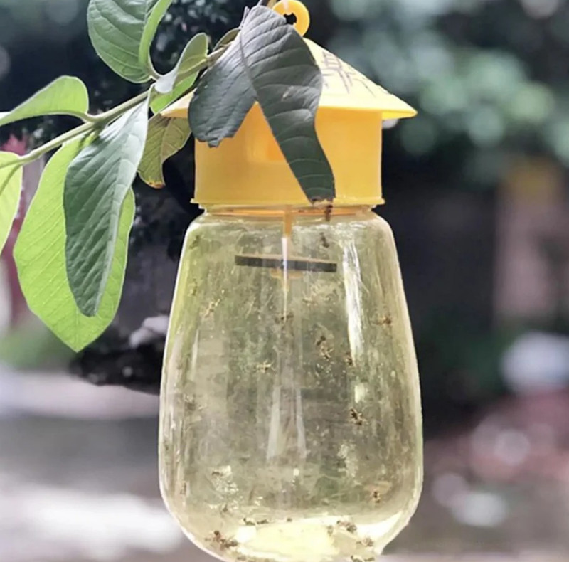 3pcs Fruit Fly & Insect Trap – Outdoor Plastic Hanging Drosophila Killer - NEW gallery