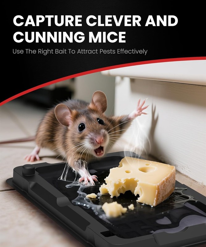 12 Pack Extra Sticky Mouse Traps - Compact Pet Safe Non-Toxic Indoor Catcher gallery