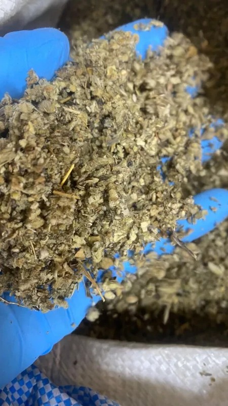 Mullein Leaf Bulk - Natural Heal Lung verbascum thapsus Herbals - 12 oz gallery