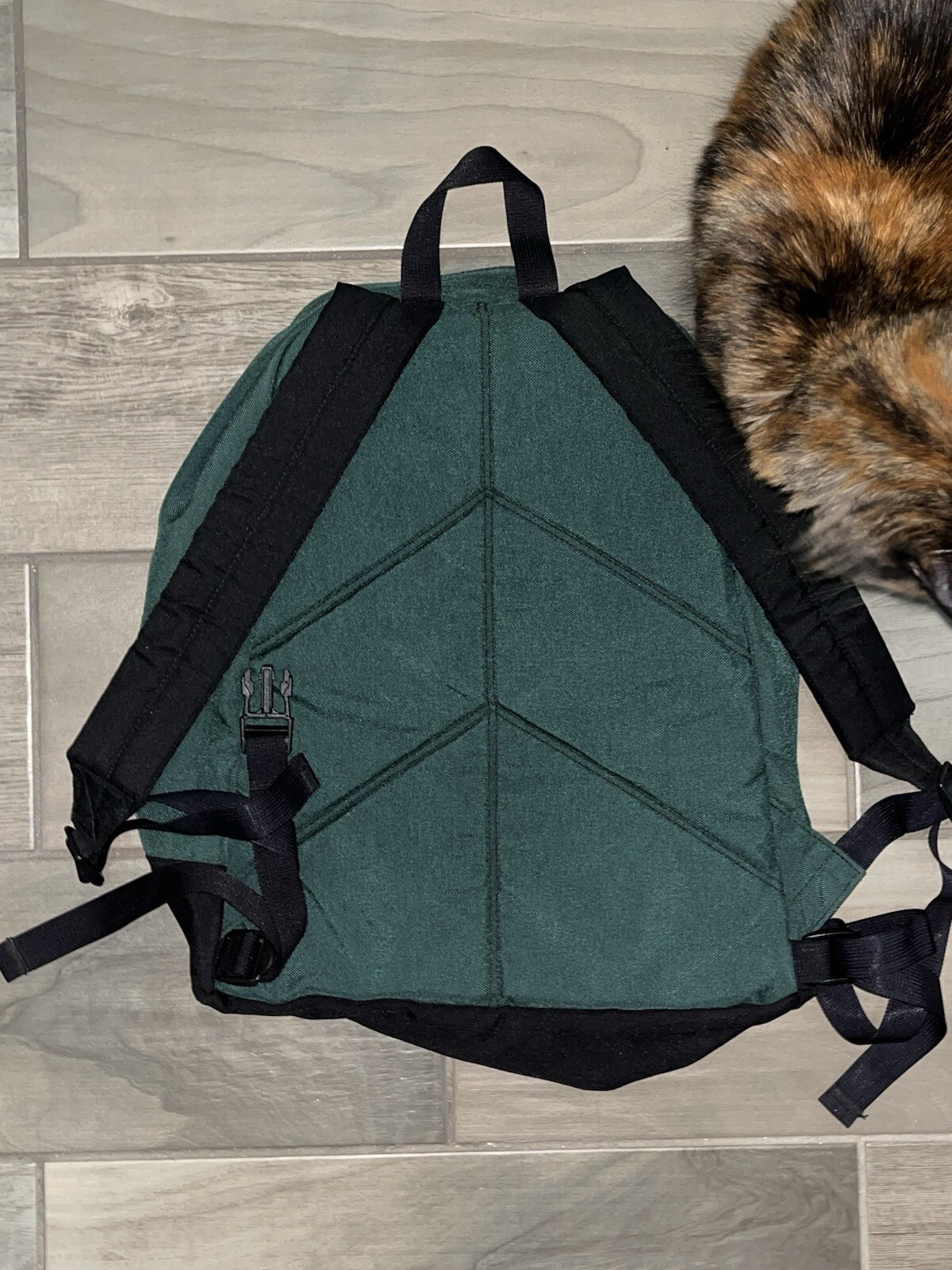 Eddie Bauer Outdoor Backpack 2