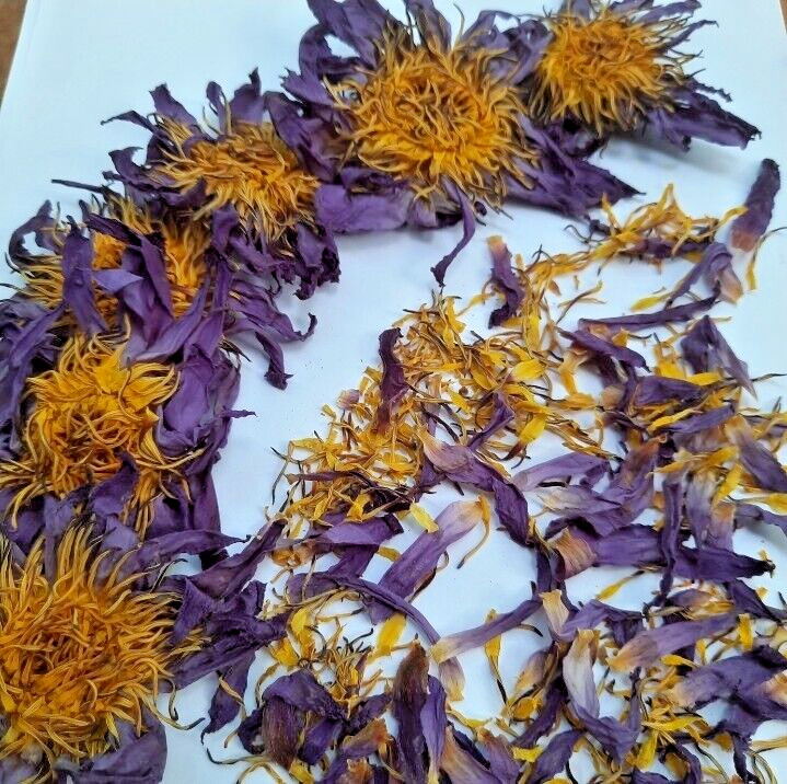 Dried Blue Lotus Flower Nymphaea Caerulea Natural Hand Picked Herbal Flowers *** gallery