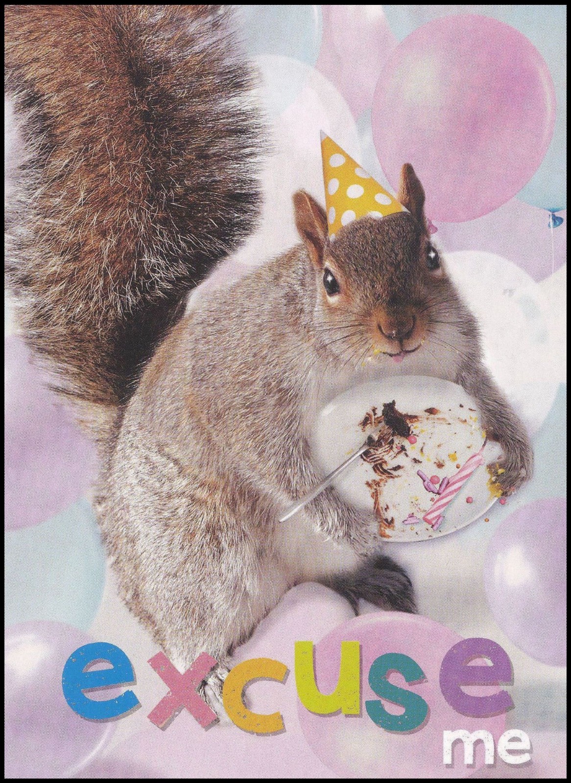 Birthday Greeting Card - Squirrel - CR0031 gallery