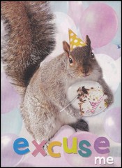 Birthday Greeting Card – Squirrel – CR0031