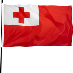 DANF Tonga Flag 3X5 Ft Thick Polyester, Fade Resistant, Brass Grommets, Canvas H