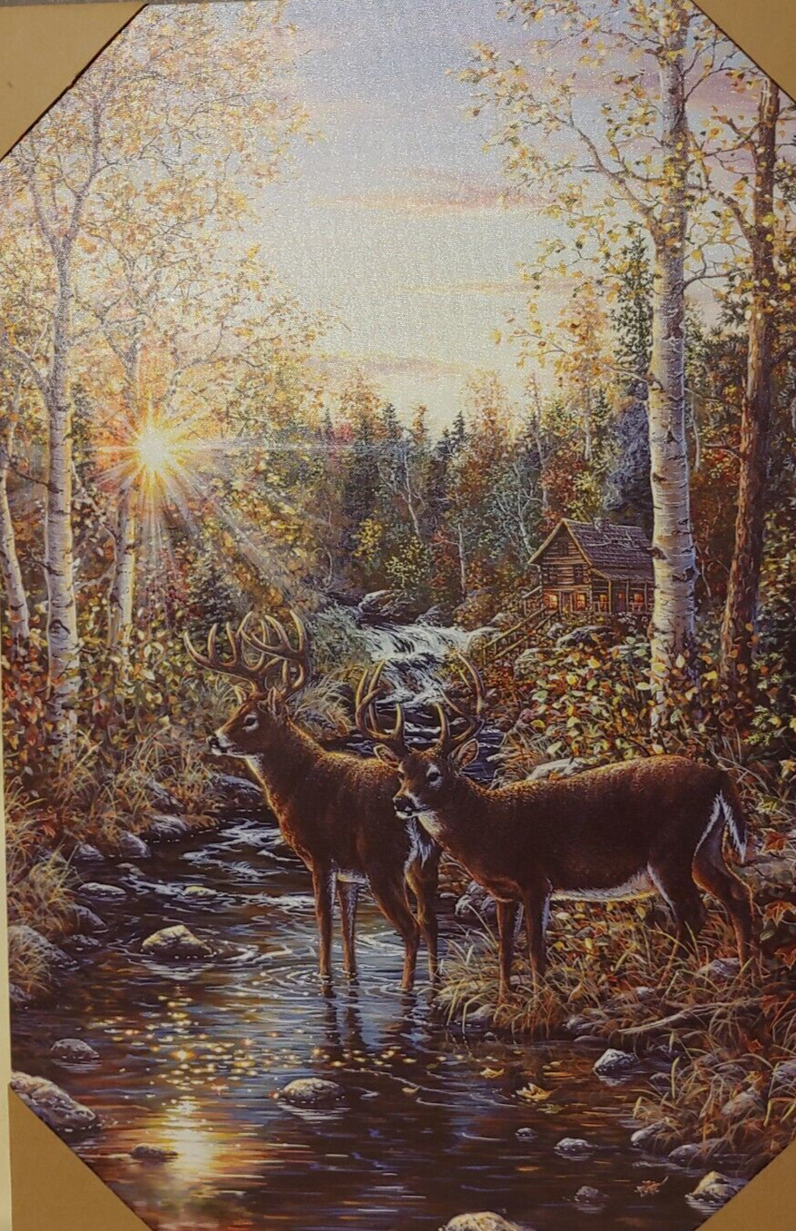 Whitetail Buck Rivers Edge Products LED Canvas Art, 24 by 16 in gallery