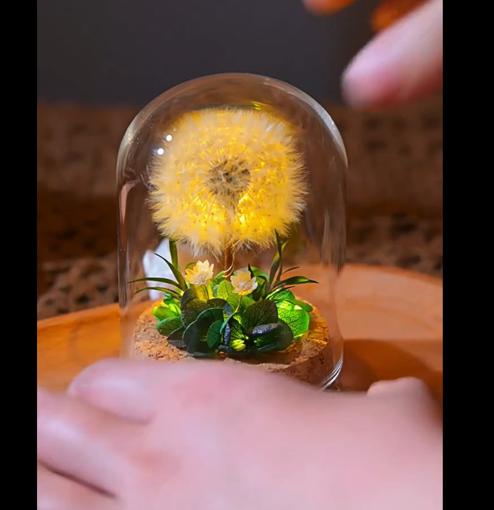 🌼 Eternal Dandelion Wish | Giant Preserved Natural Bloom✨🌿 Mother's Day gallery