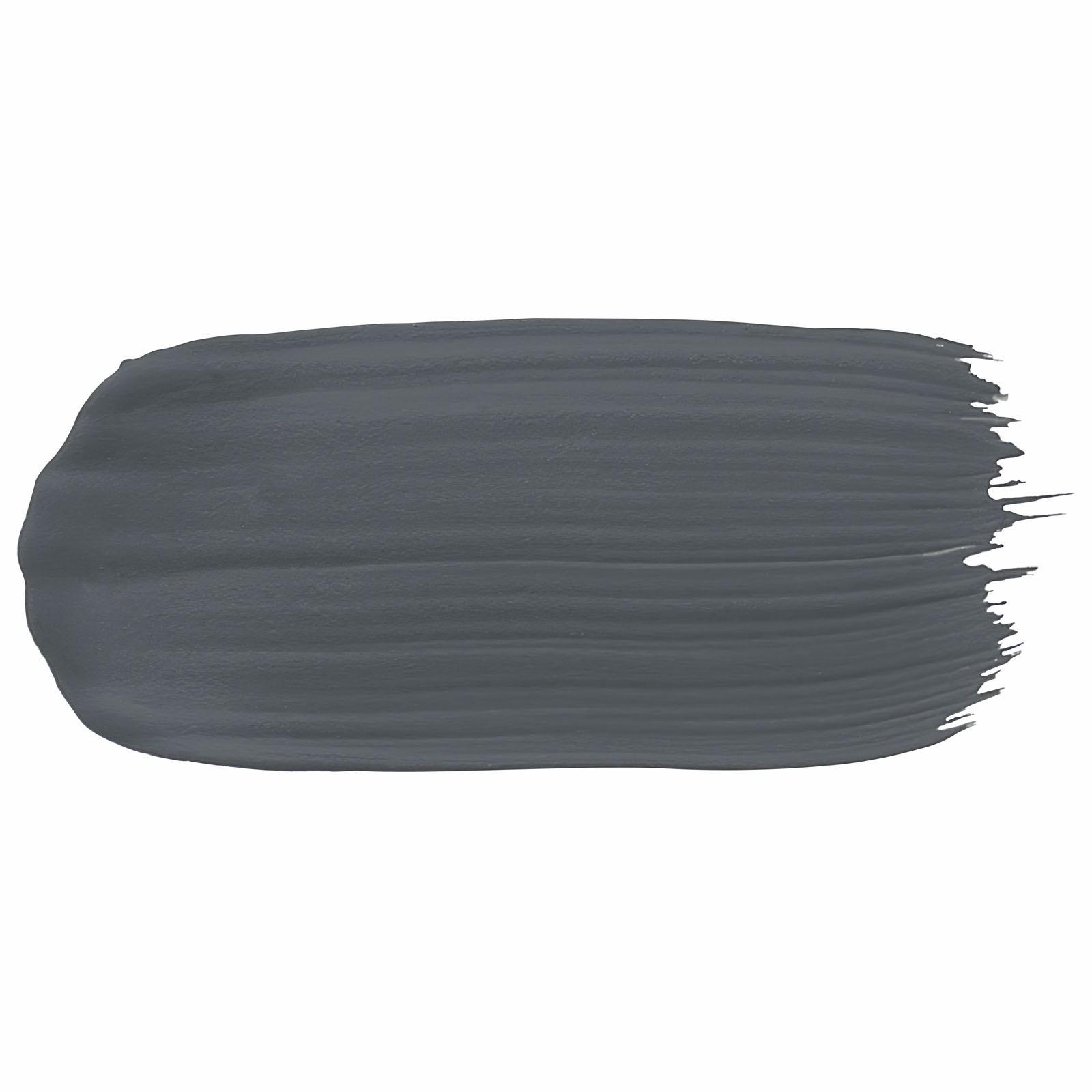 Porter's 2L Squid Ink Eggshell Finish Broadwall Washable Paint gallery