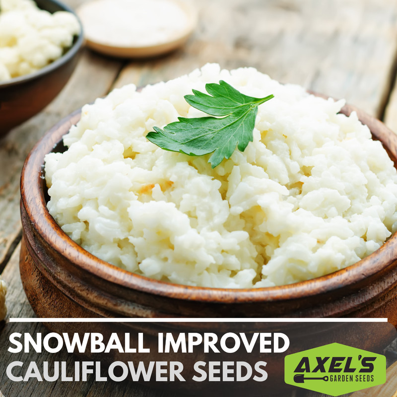 Snowball Improved Cauliflower Seeds | Non-GMO | Heirloom | Fresh Garden Seeds gallery