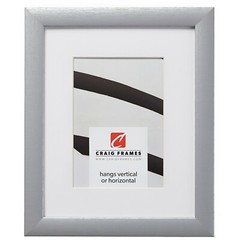 Craig Frames Contemporary 1″, Brushed Silver Picture Frame With a Single Mat