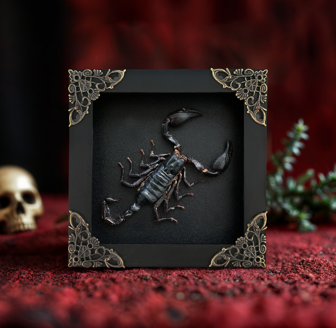 Real Framed Scorpion Gothic Wall Decor Shadow Box Taxidermy Father's Day Gift gallery