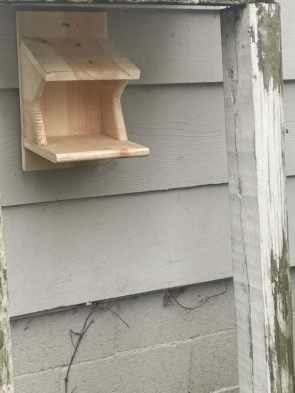 Pine Wood Robin Nesting Box~Dove Nesting Box~Cardinal Home~phoebe Nesting Box gallery