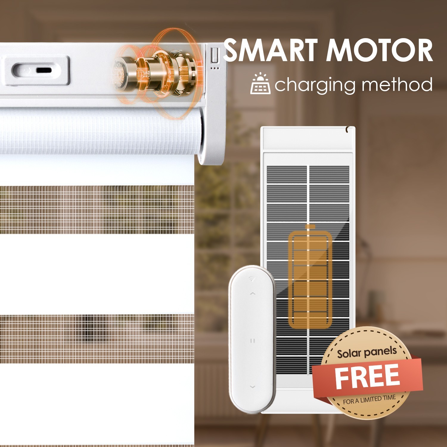 Motorized Zebra Blinds with Remote Control【Solar Panel Included】 gallery