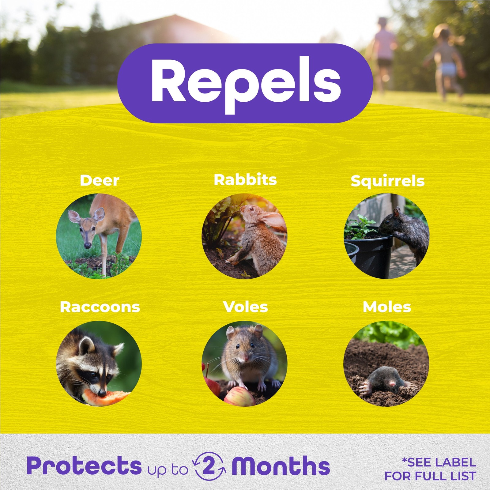 Bonide Repels All 32 oz Animal Repellent Ready-to-Use Spray for Outdoor Use gallery