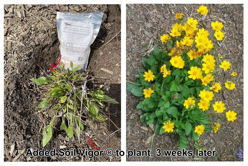 Soil Vigor 1 Pound Super Absorbent Polymer for Indoor Outdoor Plants gallery