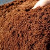 Coconut Coir - Coco Peat & Perlite 50/50 ORGANIC GROWING MEDIA for Garden Plants gallery