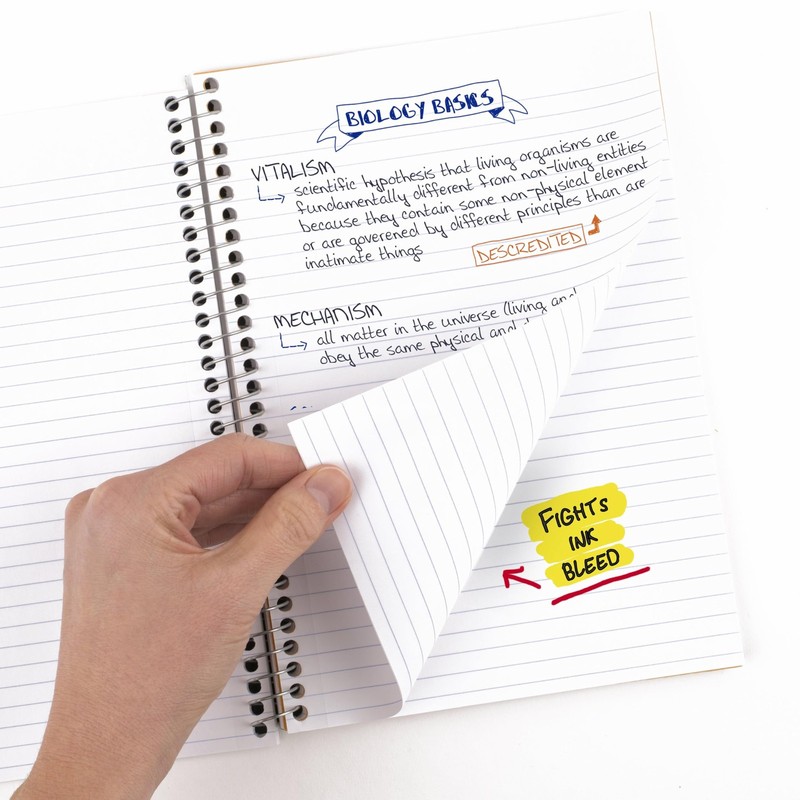 Spiral Notebook, 2 Subject, College Ruled Paper, 6" x 9-1/2", 80 Sheets, Figh gallery