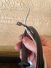 Black and Decker TYPE 2 Hedge Trimmer 24in Model HH2455 OEM POWER CORD gallery