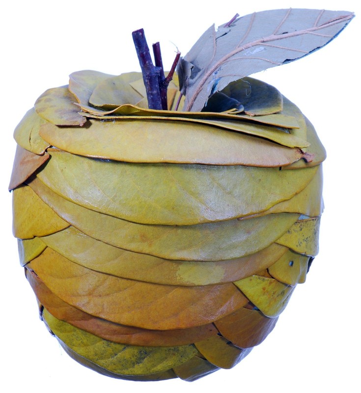 Leaf Twig Apple Natural Green Rustic Country Fruit Craft Decor Filler 630f gallery