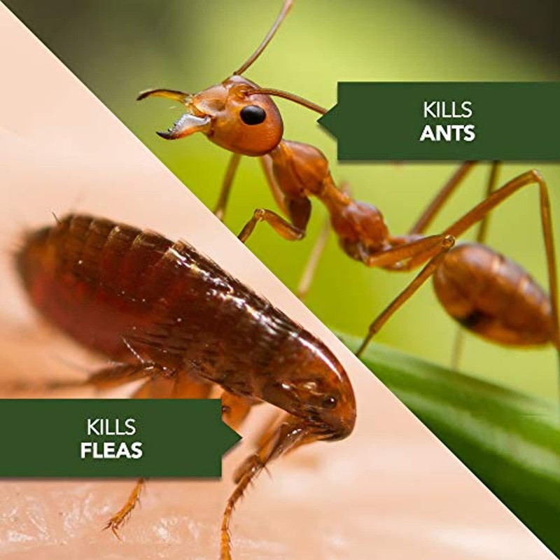 BioAdvanced 700270B Science-Based Solutions Grub, Ant & Mosquito Killer for gallery