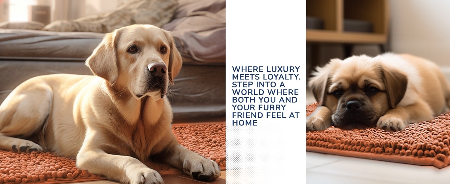 Super Absorbent Door Mat Non-Slip Microfiber Quick Dry Machine Washable Pet Rug gallery