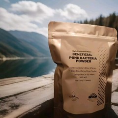 Pond Bacteria Concentrated Powder 500% , 5 Billion CFU/gm, 7-Strain Blend, 1 lb