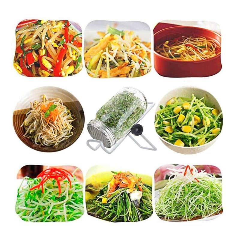 Organic Sprouting Jar Kit for Broccoli, Alfalfa, Mung & Bean Microgreens gallery