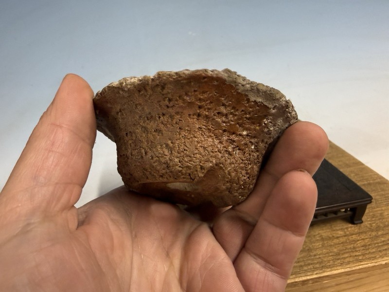 Japanese Unknown Maker Shohin Bonsai Tree Pot 3 1/2 By 1 1/4” Unique Unglazed gallery
