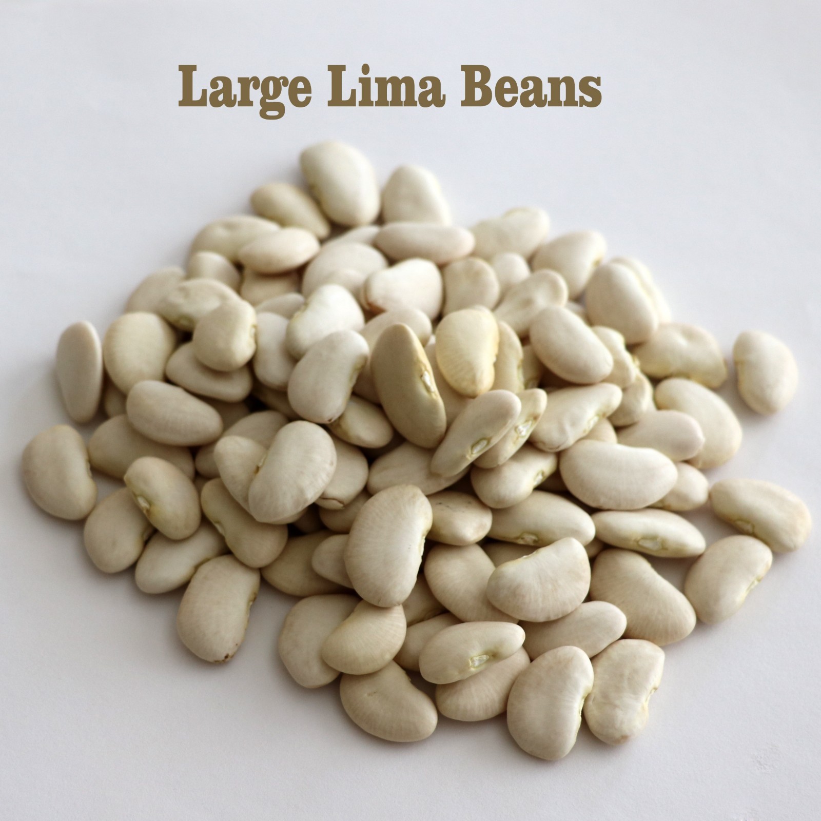 Grown Organic large lima beans bulk 4 OZ- 10 lb free shipping gallery