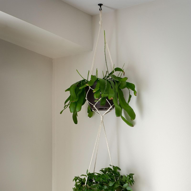 2Pcs Swag Ceiling Hooks with Hardware Zinc Alloy White Plants Hanging 29x38mm gallery