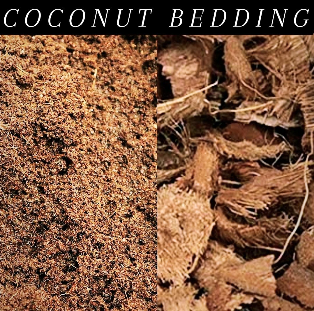 10 Lb Compressed Coconut Chip or Coir Powder Brick Reptile Bedding Garden gallery