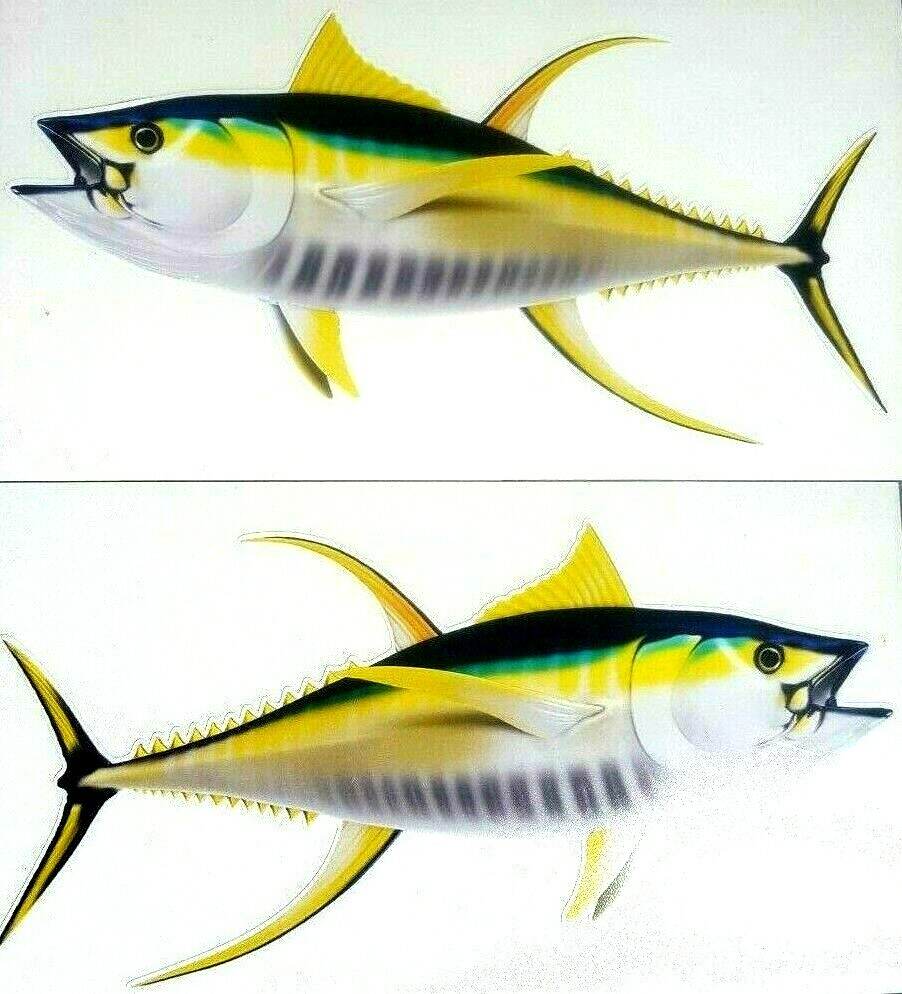Yellowfin Tuna Decals Fish Stickers Set of 2 Vinyl Stickers #116 gallery