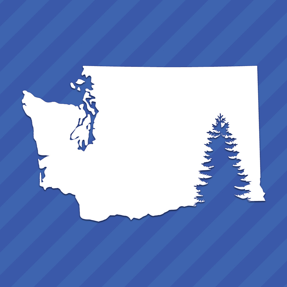 Washington Evergreen Tree WA State Outline Vinyl Decal Sticker gallery