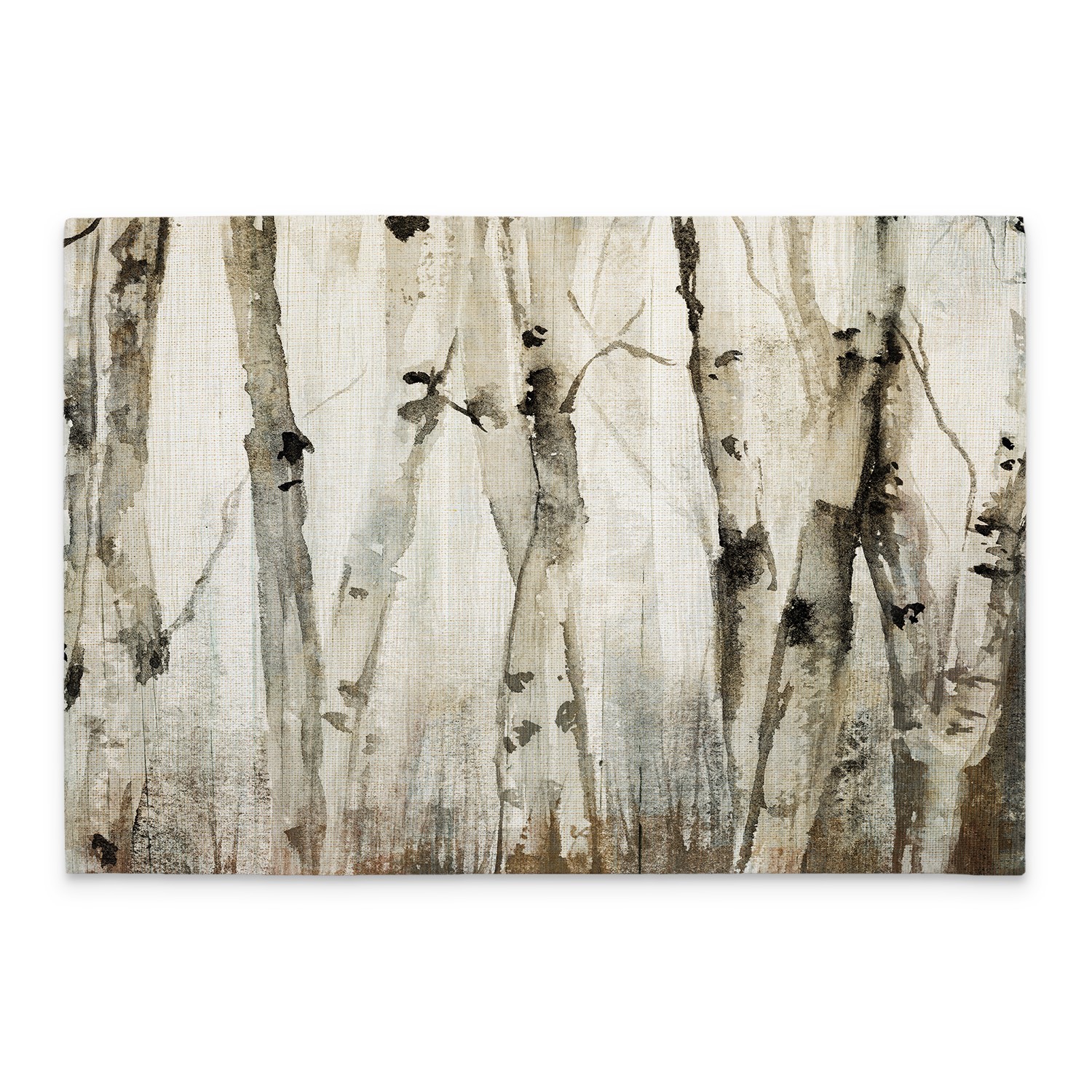 Neutral Birch Trees 4-Pack Poly-Cotton Blend Placemats Manufactured in The USA gallery