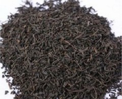 DARJEELING TEA (SECOND FLUSH 2025) GIDDAPAHAR SFTGFOP I TIPPY MUSK 500 gms