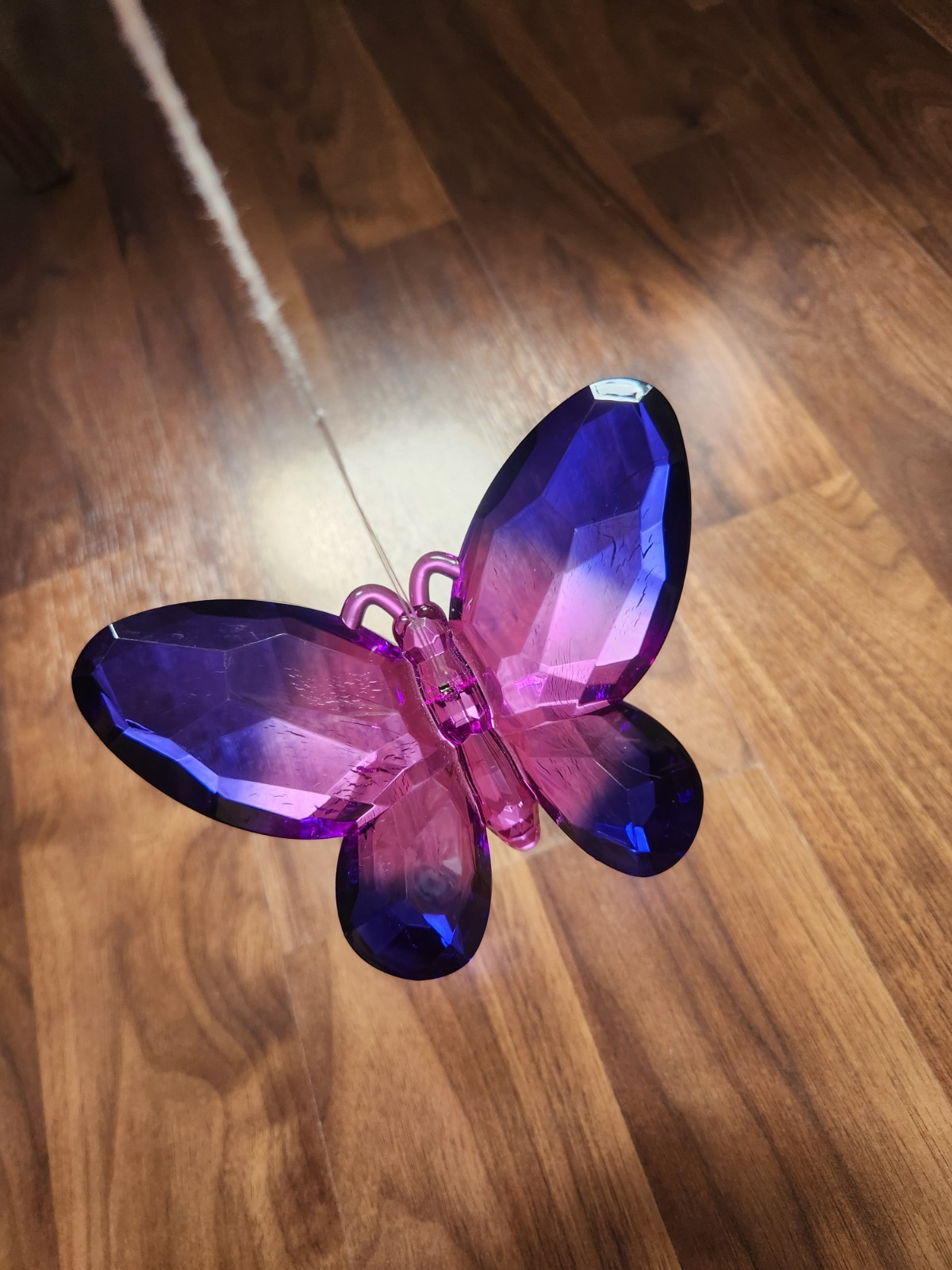 Ganz Crystal Expressions two-toned butterfly suncatcher blue and pink, hanging gallery