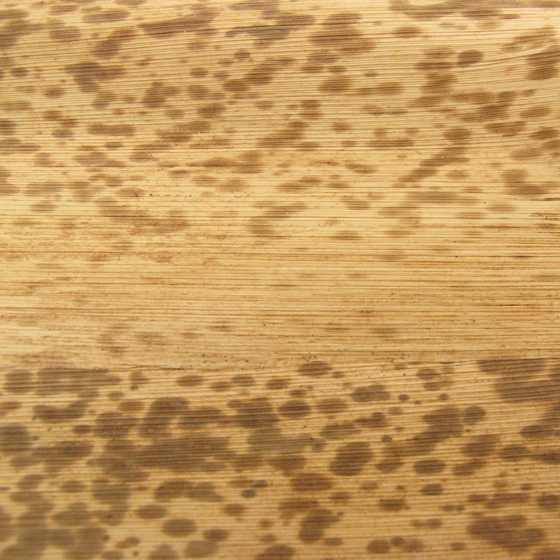 BambooMN Bamboo Leaf Square Plates - Multiple Sizes & Qty. Available gallery