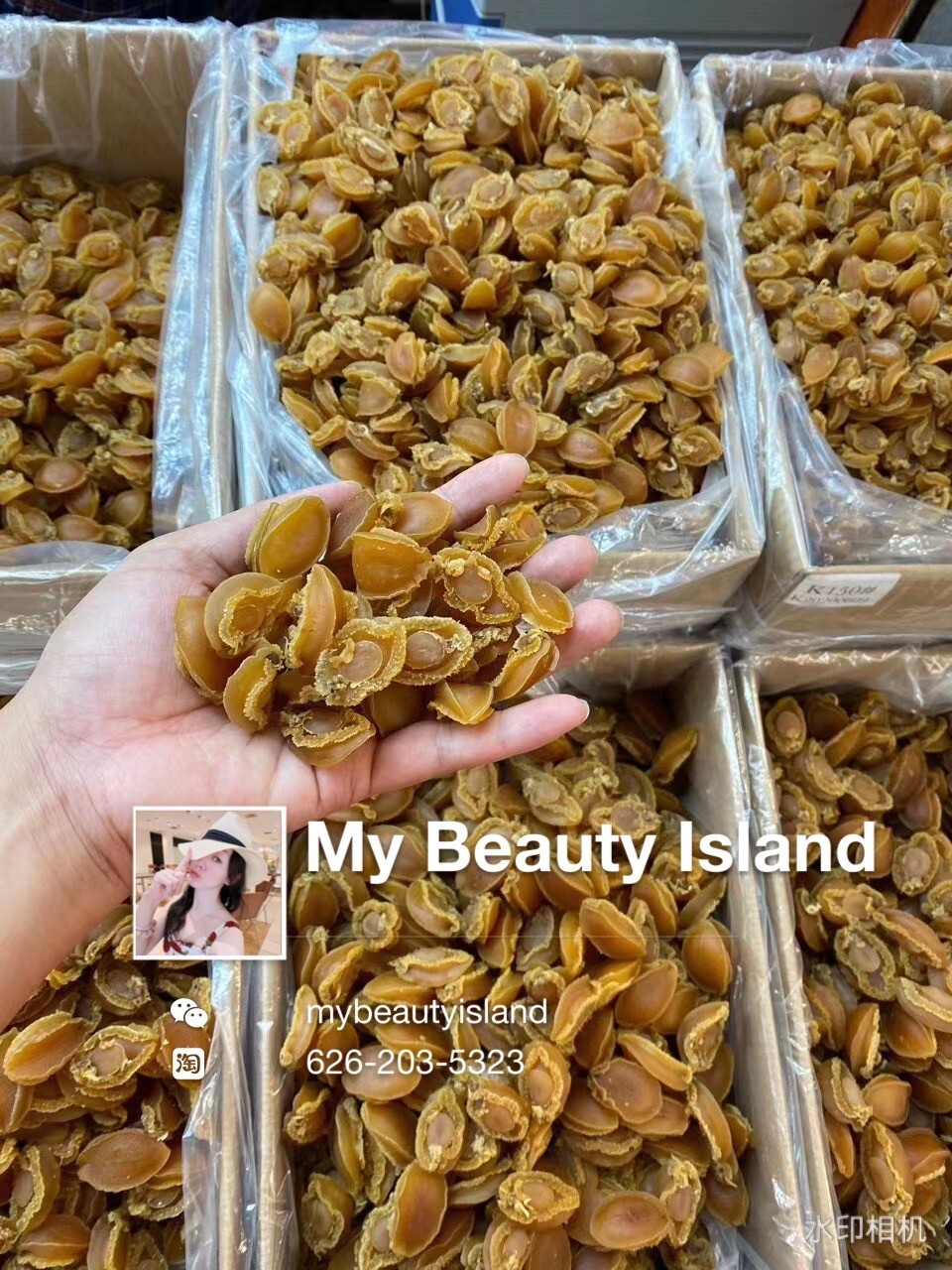 Dried Abalone 30-35头 淡干鲍鱼 8oz or 16oz 美国现货 gallery