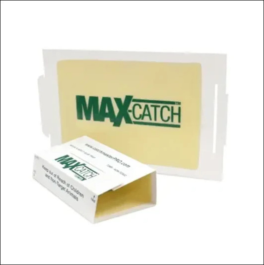 Catchmaster 72Max Glue Board Mouse Insects Trap Free shipping gallery