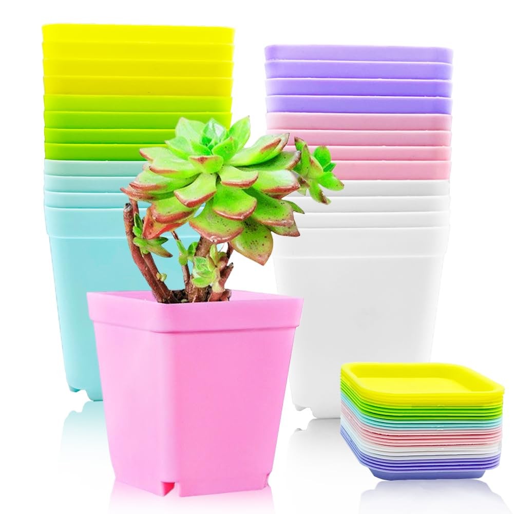 24 Pack Colorful Square Plastic Flower Pots with Saucers for Plants gallery