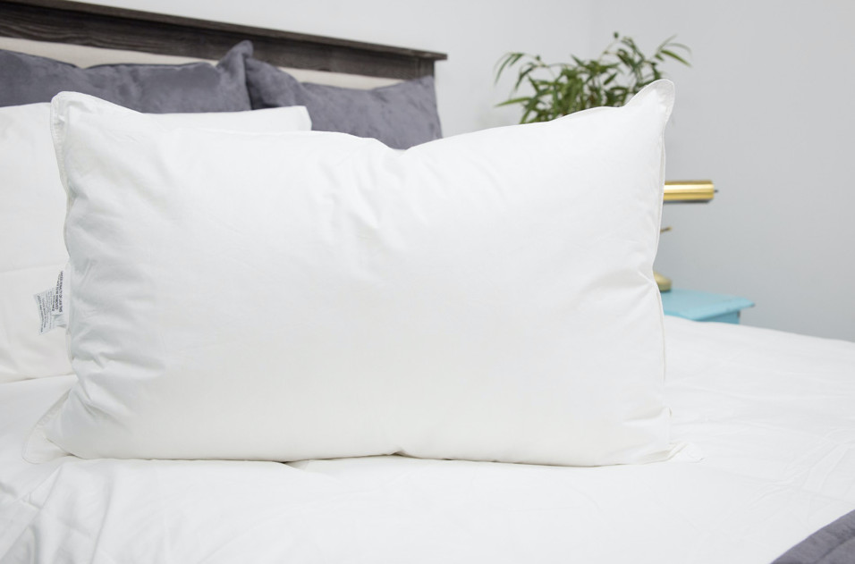 IHG Loves To Be Washed KING SOFT Pillow Featured at IHG Hotels FREE PILLOWCASE gallery