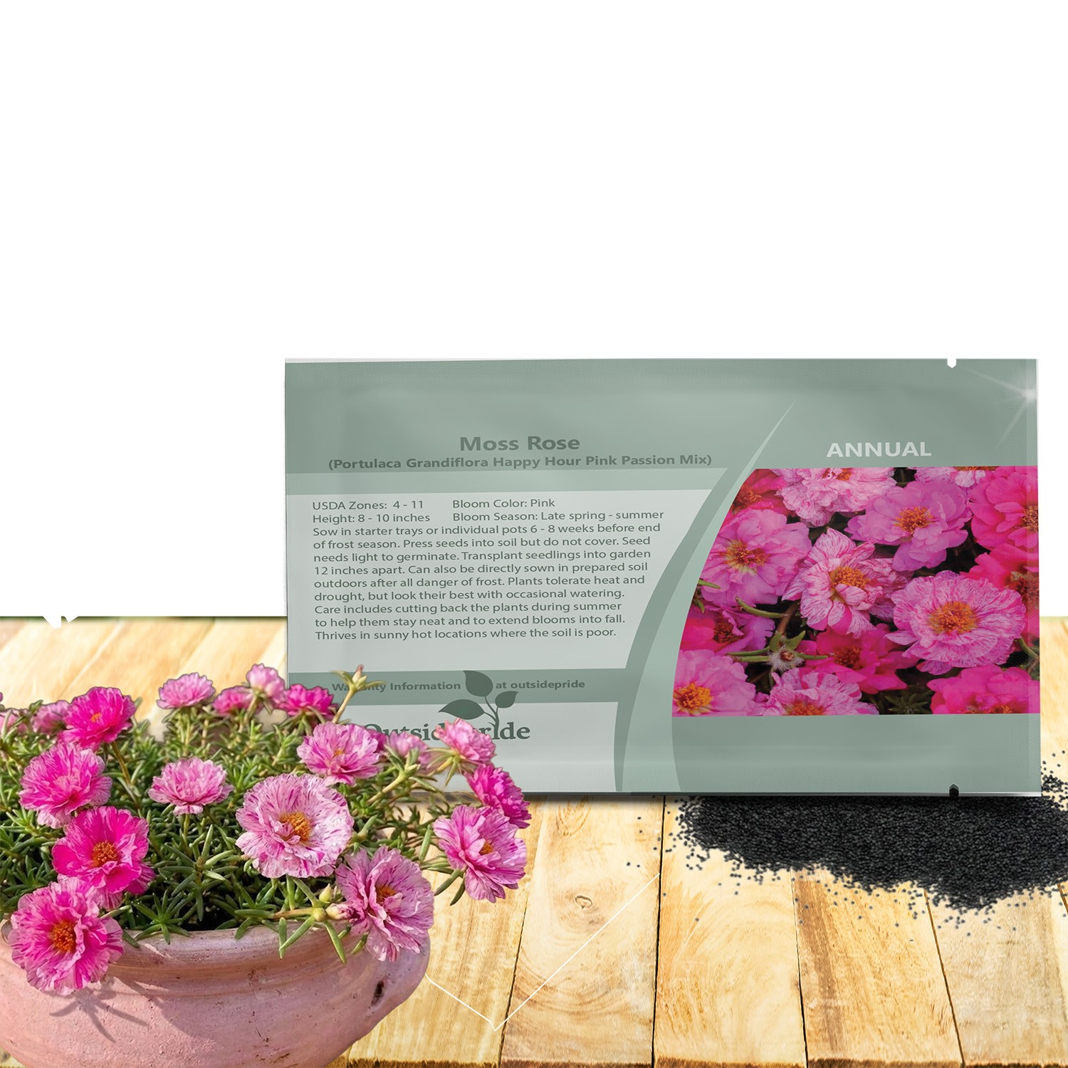 500 Seeds Drought Tolerant Portulaca Pink Passion Groundcover Plant Seed Mix gallery