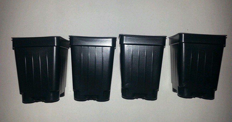 12 Divided Trays and 384 - 2.5 inch SQUARE DEEP NURSERY POTS Landmark gallery
