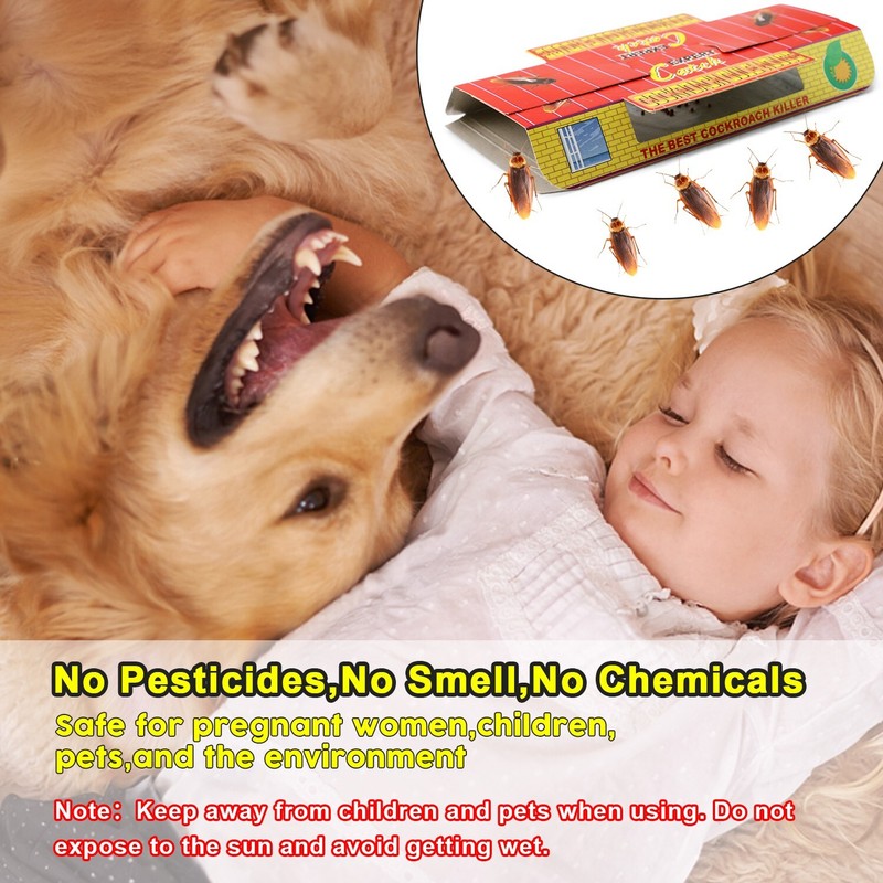 5Pack Non-Toxic Odorless Cockroach Trap Room- Built-In Attractant For Indoor Use gallery
