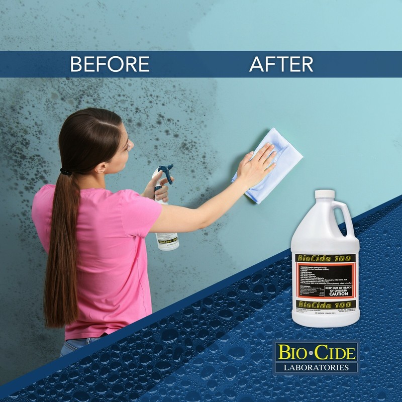 Biocide 100 Multi-Purpose Disinfectant Spray | DIY Mold, Mildew, Fungi Remover gallery