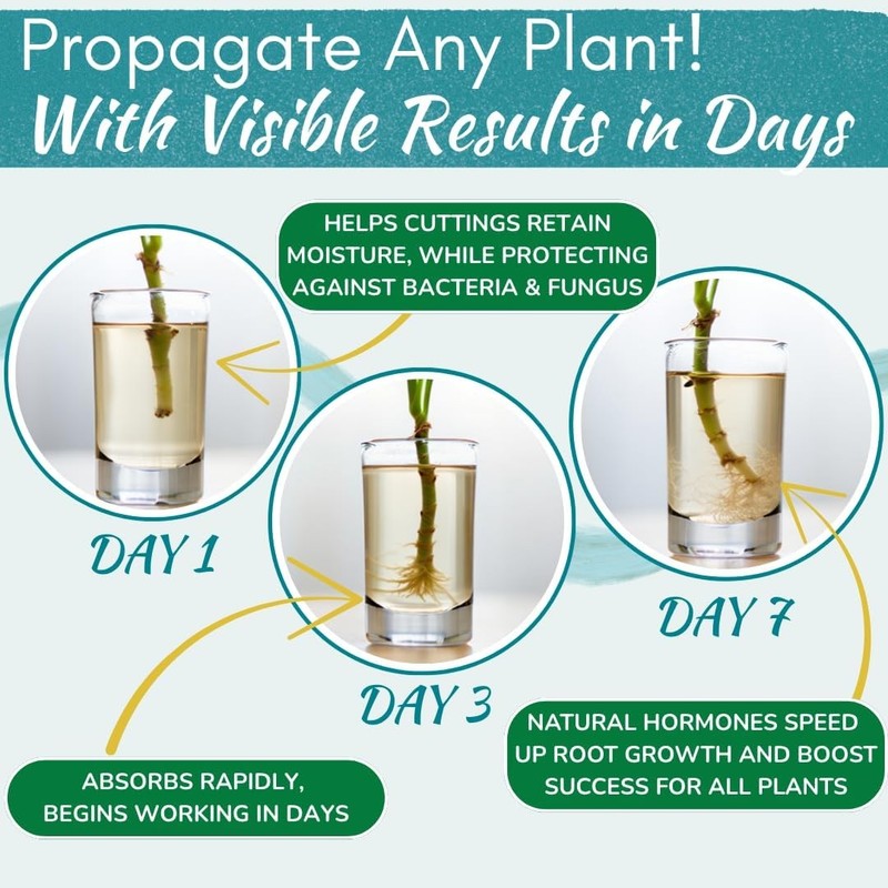 Houseplant Prop Drops - Propagation Promoter & Root Growth Hormone | Root Stimul gallery