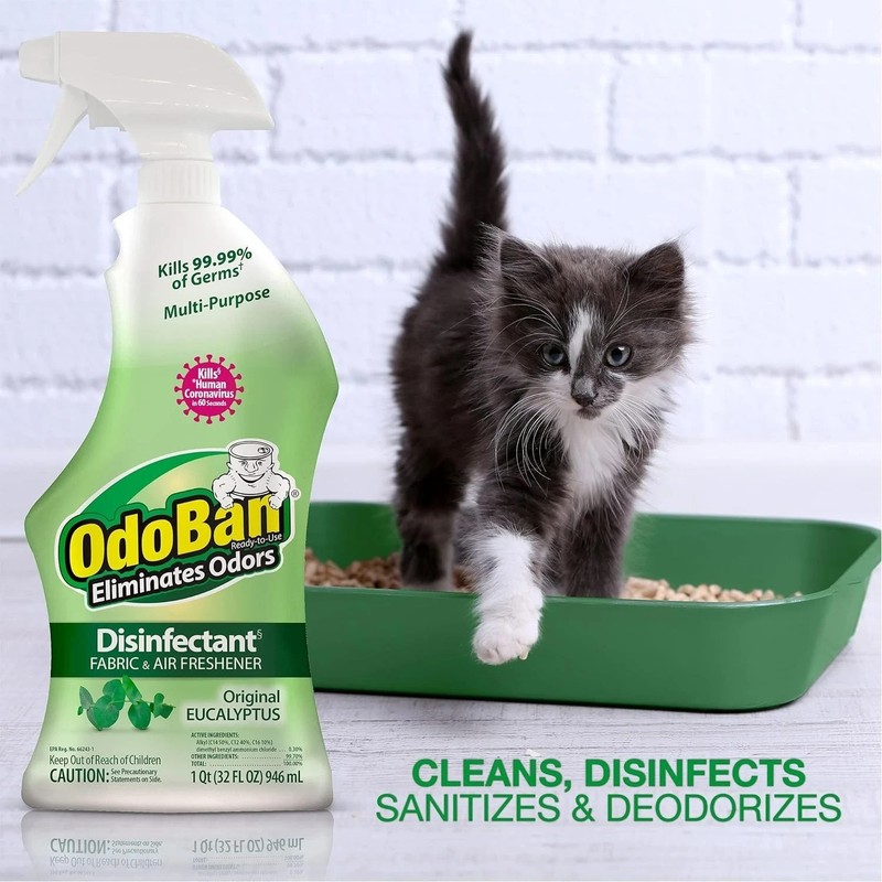 OdoBan Original Eucalyptus Scent Disinfectant Fabric & Air Freshener, 32 fl oz gallery