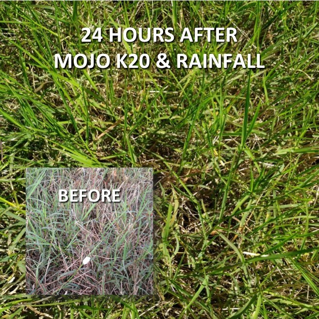 Mojo K20 Plus: Liquid Lime + Potash Fertilizer, 25 lb Bag Treats 1-2 Acres gallery
