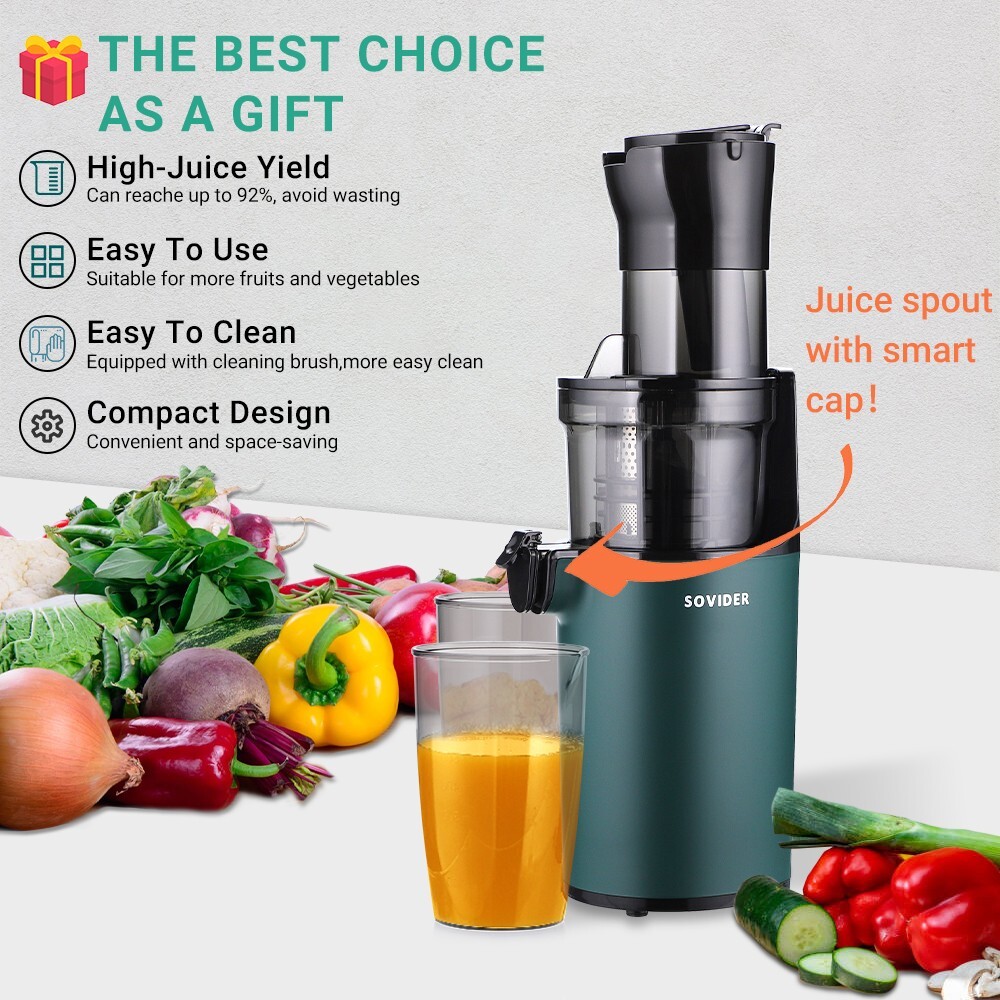 Slow Juicer Machine Masticating Cold Press Juicers Squeezer Vegetable Processor gallery